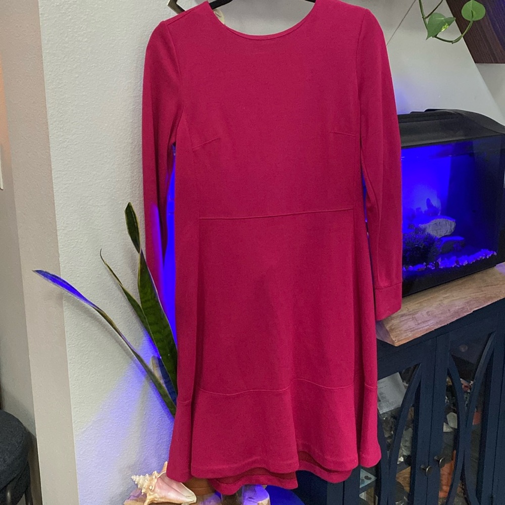 Loft Fuchsia Dress
